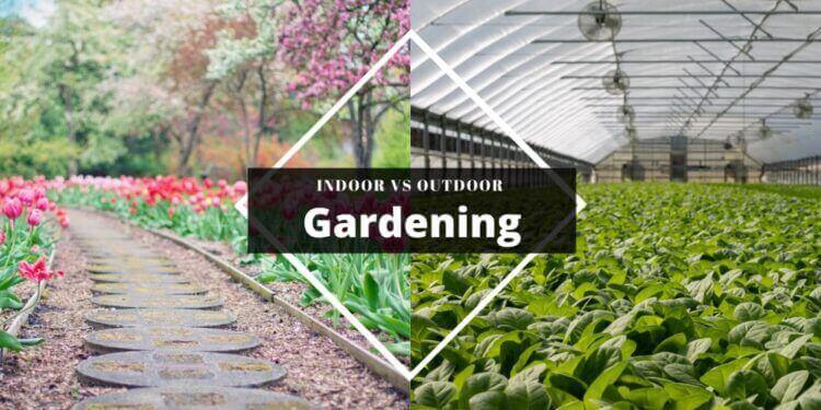 indoor gardening over outdoor gardening